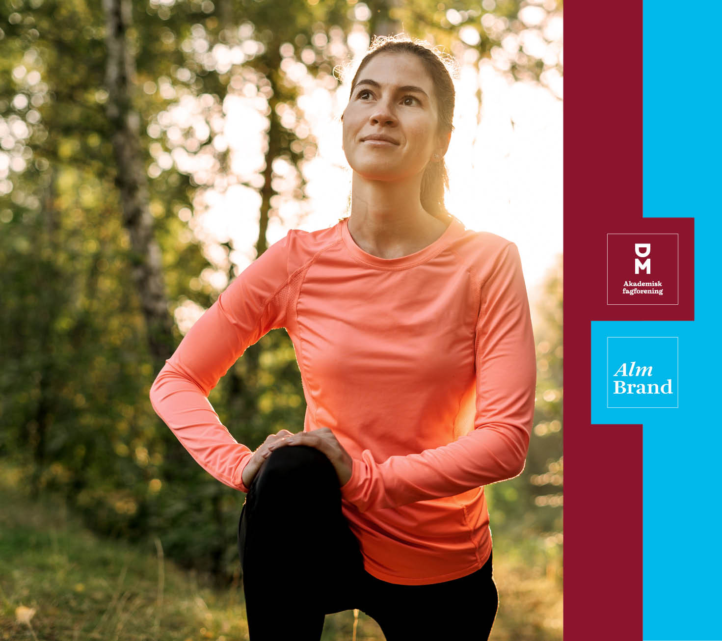 Forsikring ABG 706X627px