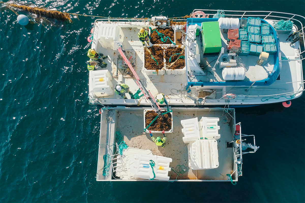 Seapro 3243 Skib 12X8