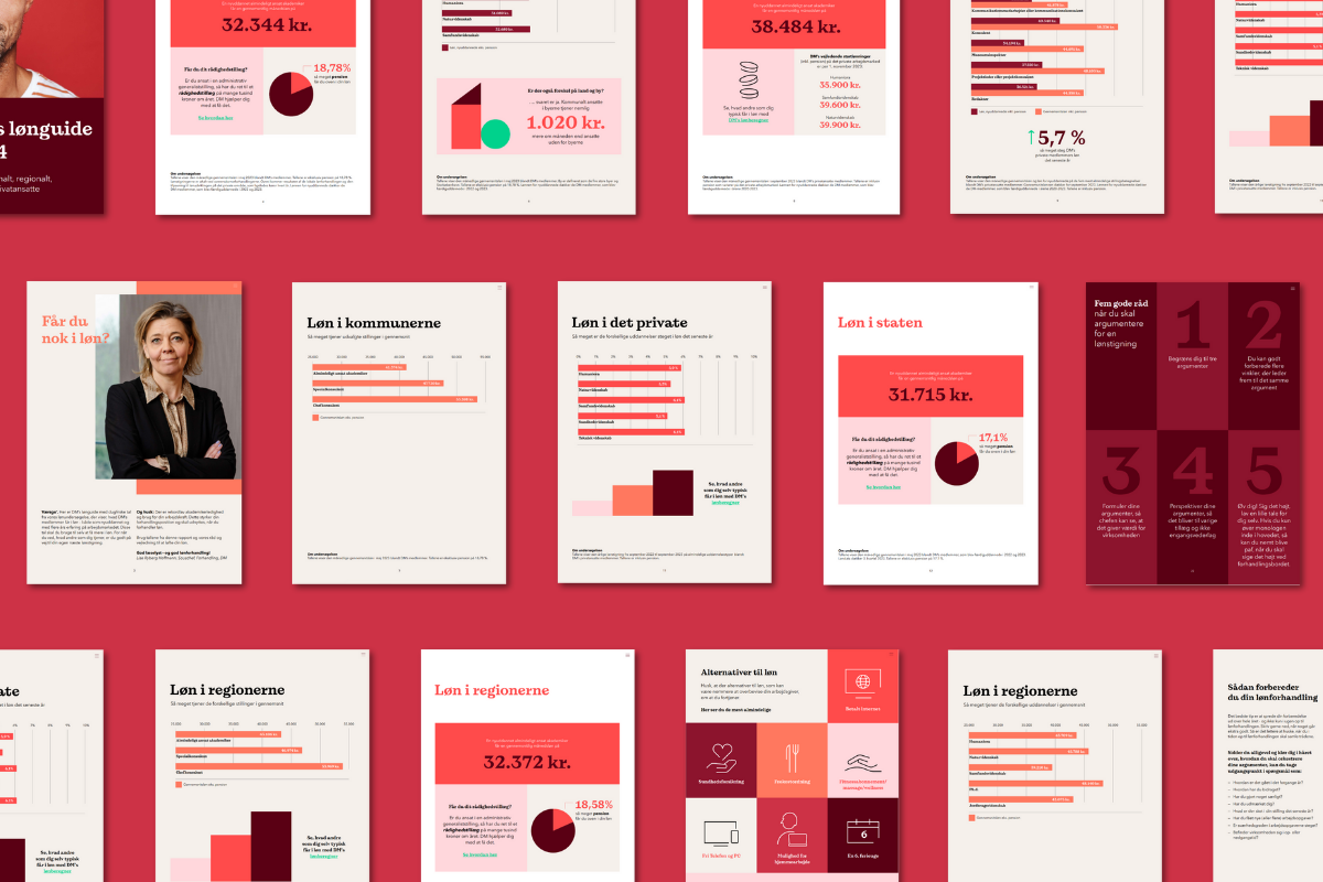 Coverbillede Lønguide 2024