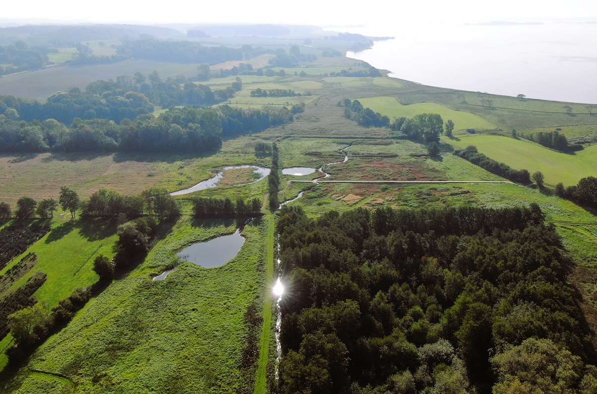 Vådområder i Assens kommune