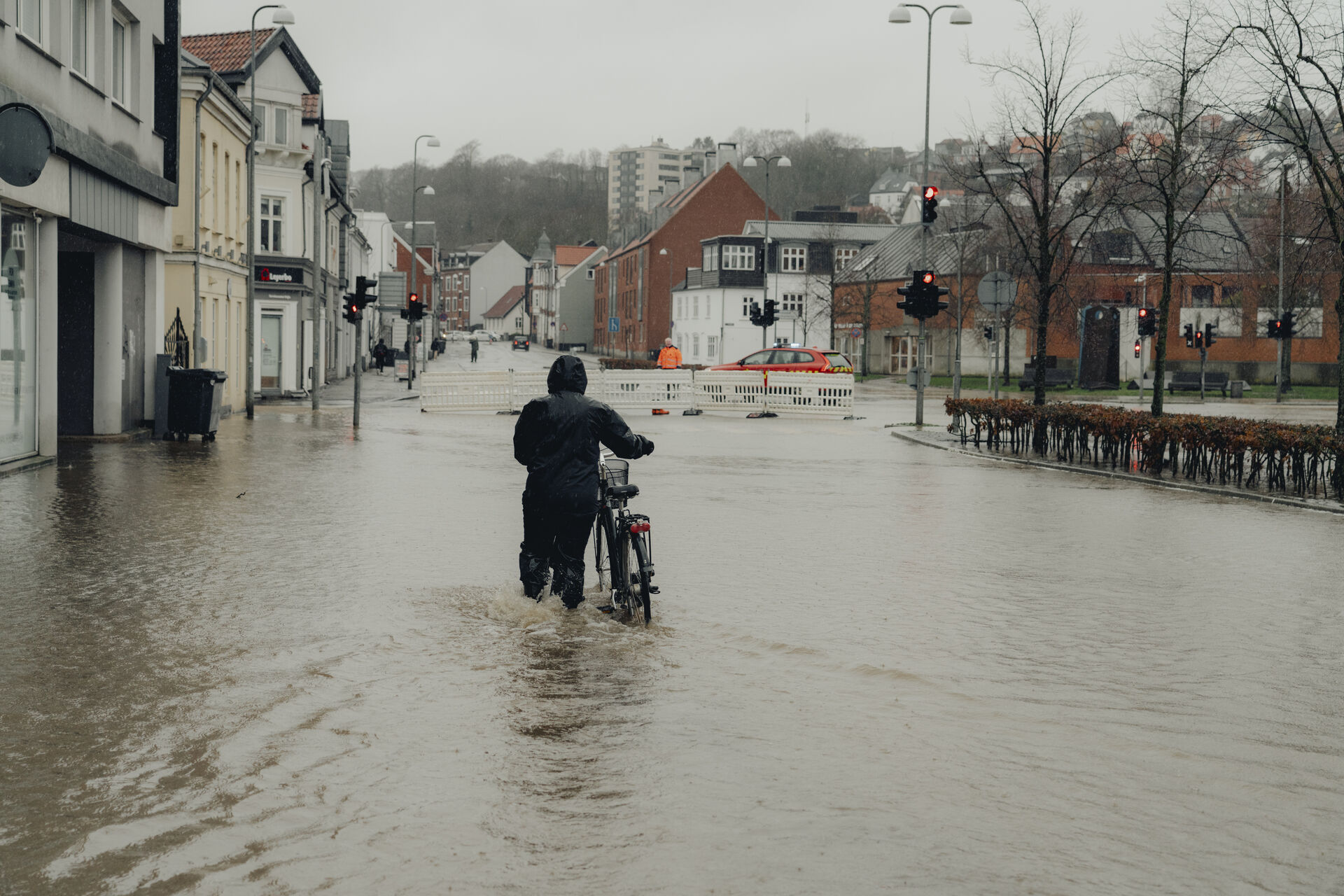 20240206 144104 L 1920X1280we