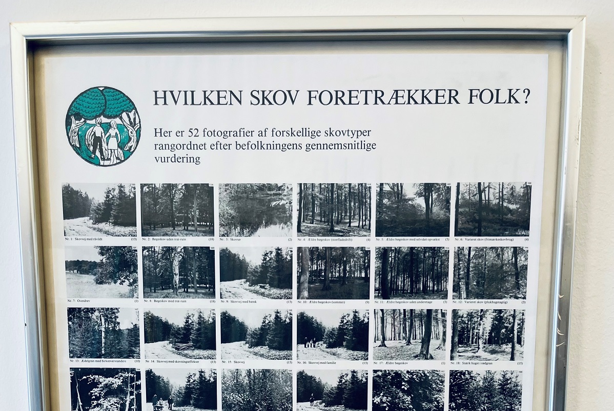 Forskellige typer af skov