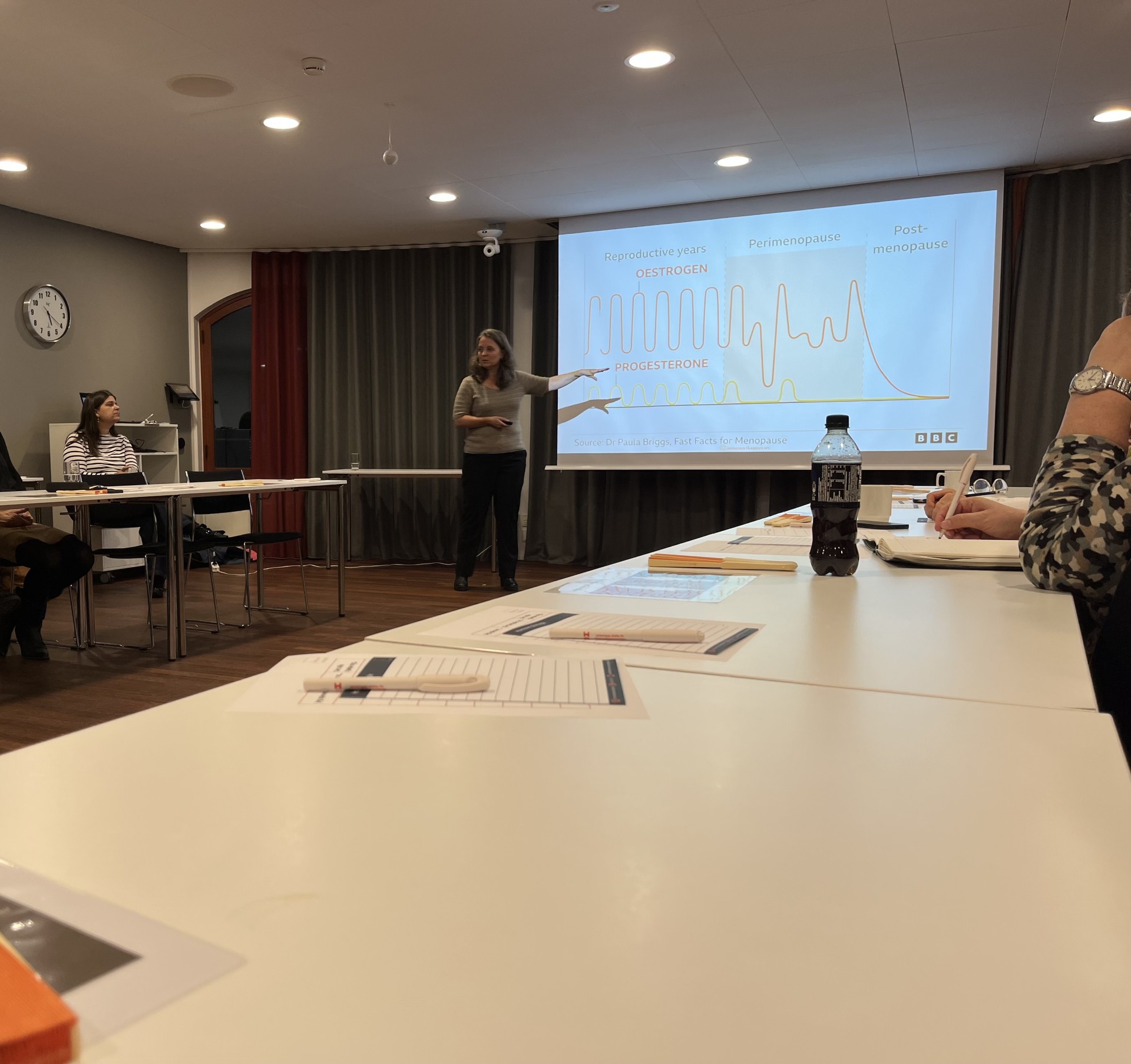 Thumbnail Billede 2 Stine Mathieu Kreditering Sofia Tøfting