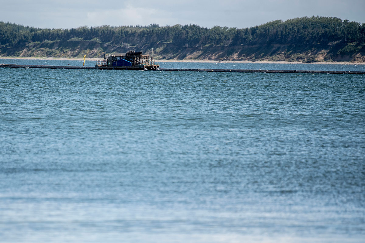 Havplan Muslinger 12X8 Johan Gadegaardjyskfynskemedierritzau Scanpix20210615 215913 4 5568X3712ma