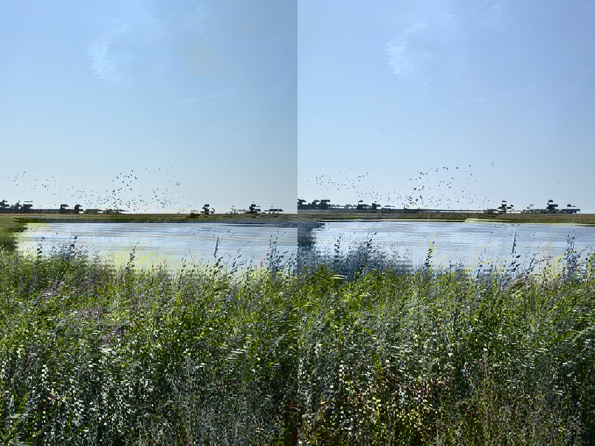 Nyt Nturområde Lidsø Gods