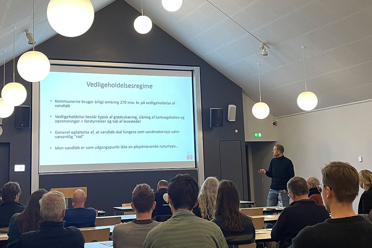 Bjarkedehli IMG 2289