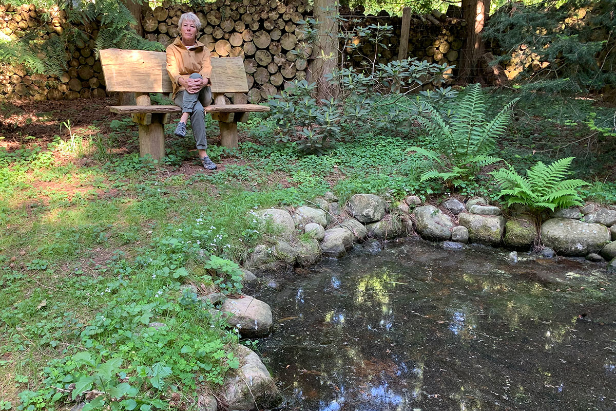 Dorthev Baenk Dam Image00018