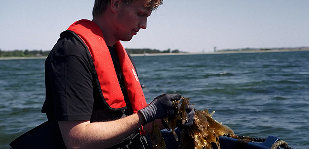 Tangfarmen.00 01 35 17.Still002 1