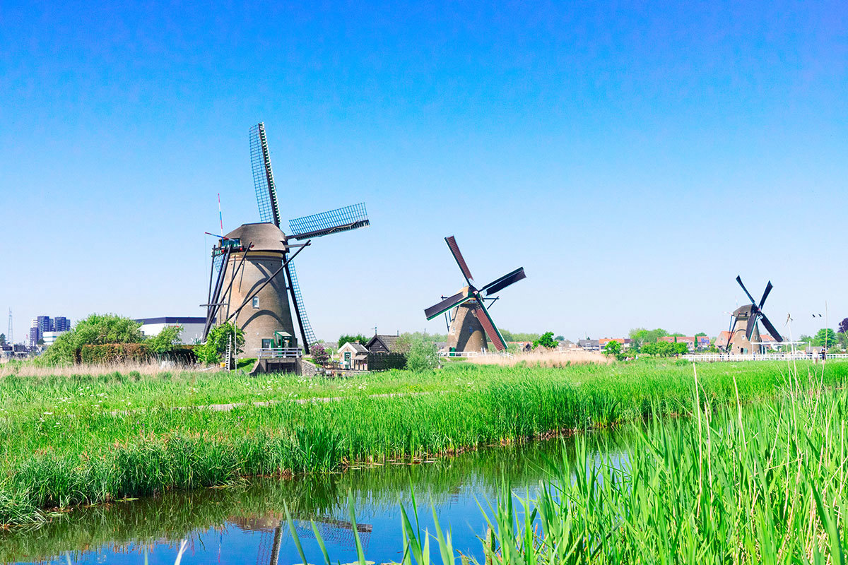 Holland 12X8 COLOURBOX49419367
