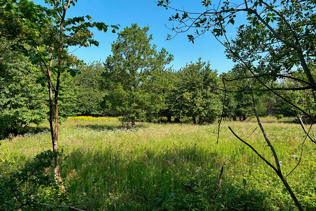 Jordreformer3 Bornholm 12X8