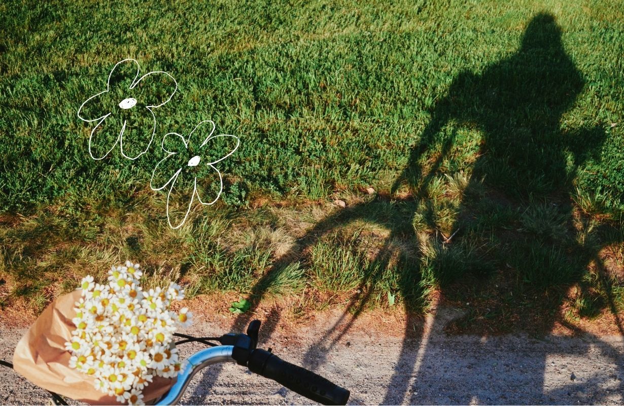 Forsikring Cykel 1230 X 800