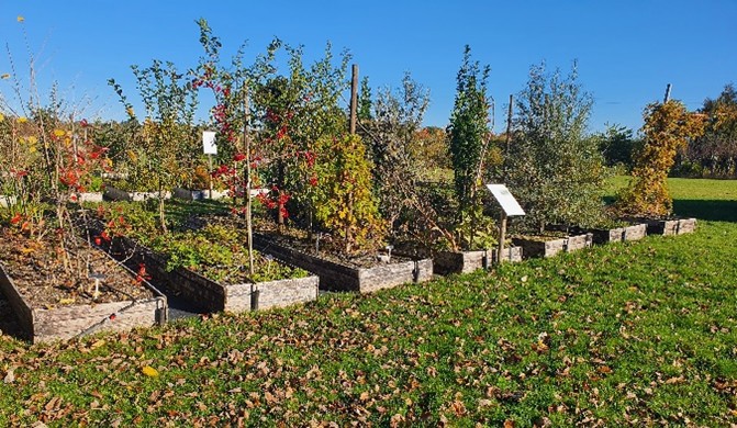 Det Natur- og Biovidenskabelige Fakultet, Institut for Plante- og Miljøvidenskab
