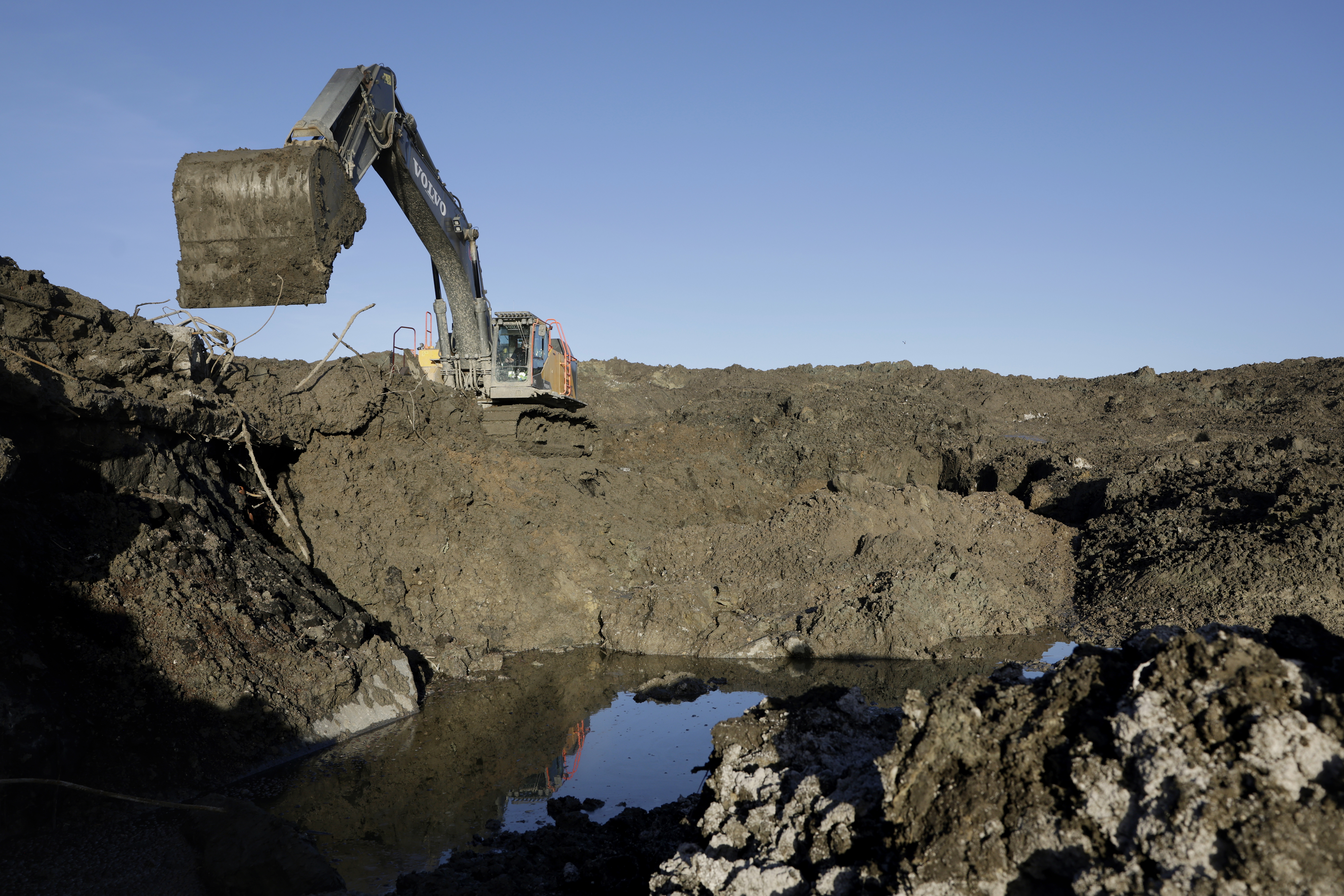 20240125 112901 5 6000X4000ma