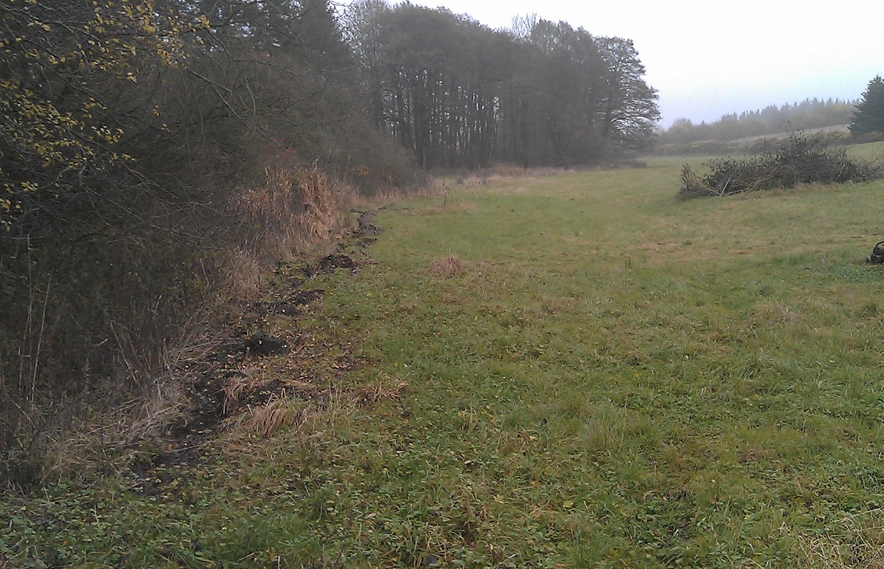 Forvandling af Kragebæk Å 1