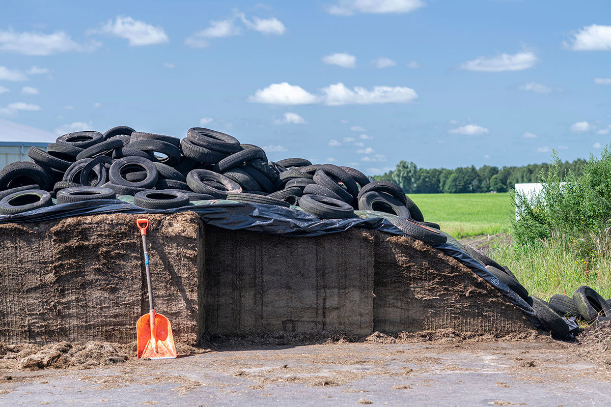 Ensilage 12X8 COLOURBOX52009161