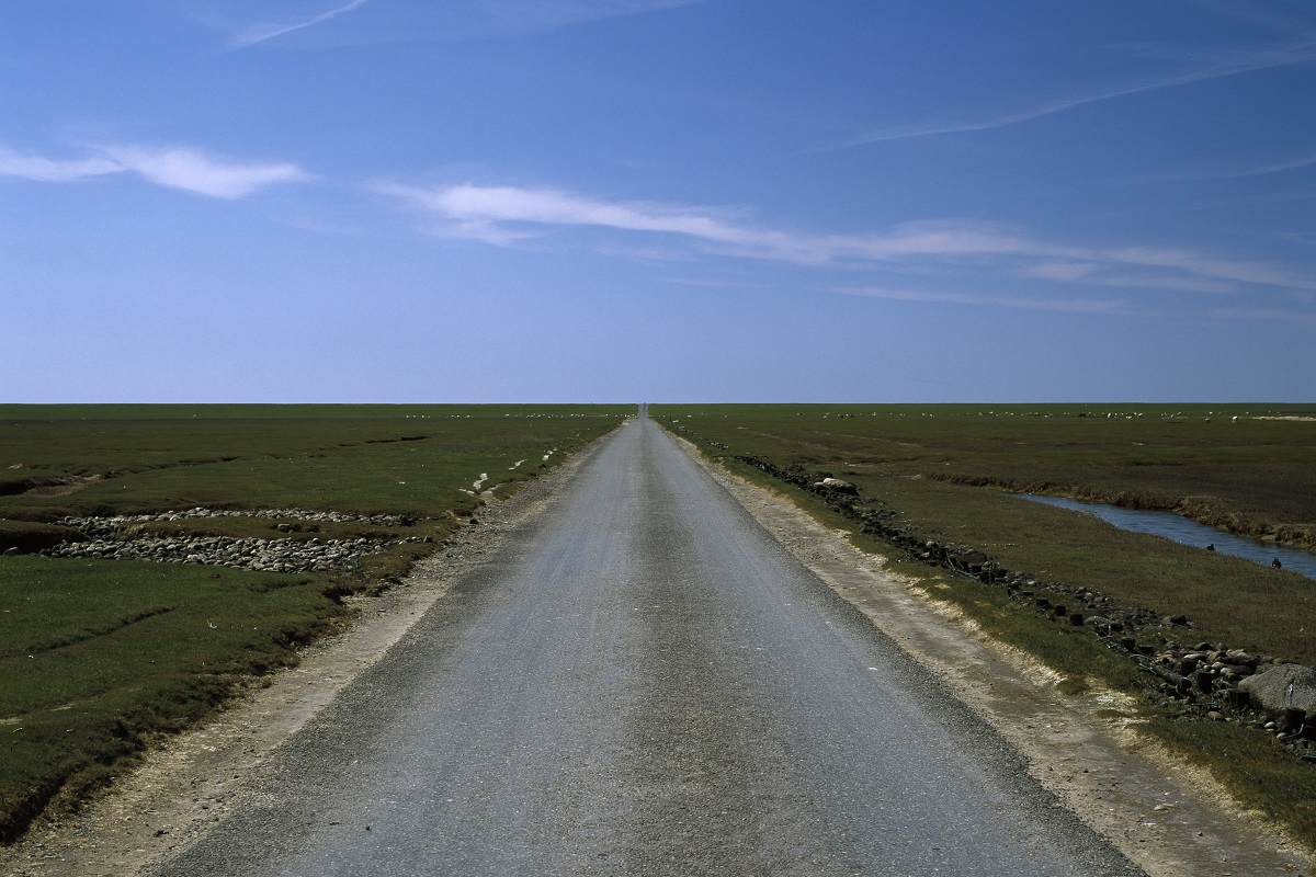 Asfalteret vej i fladt landskab