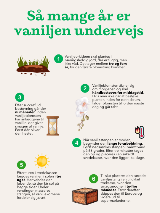 Grafik - Så mange år er vaniljen undervejs
