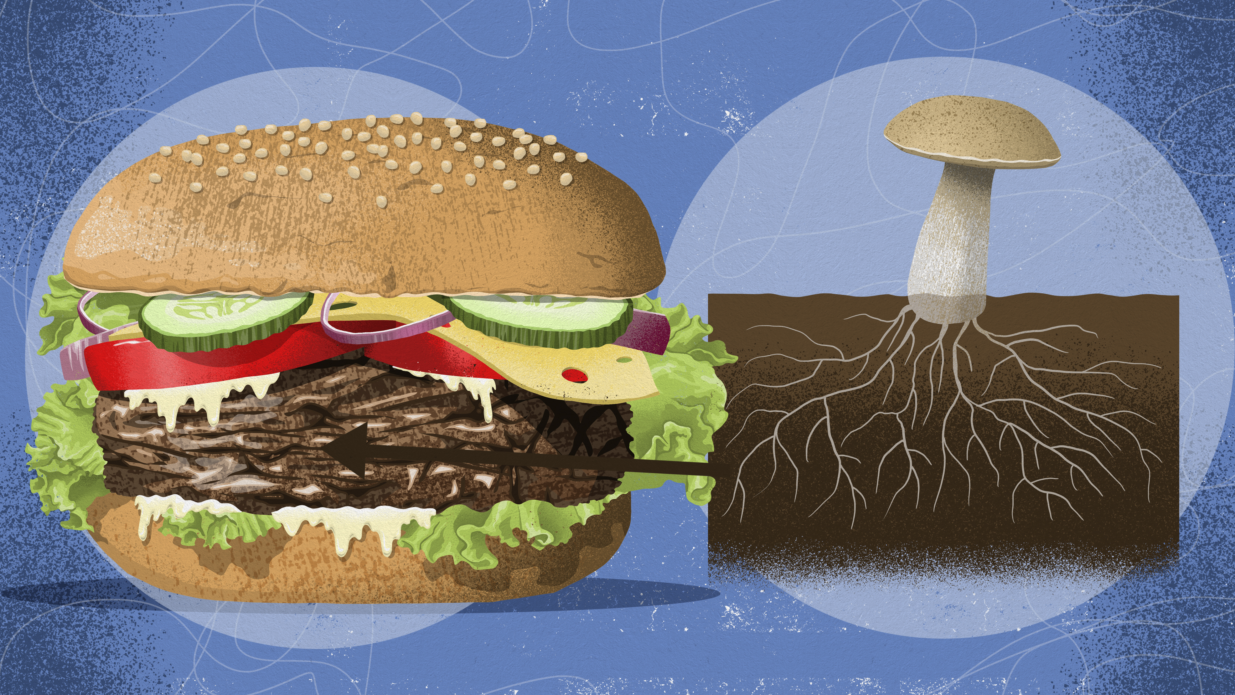 Svamperødder fødevarer