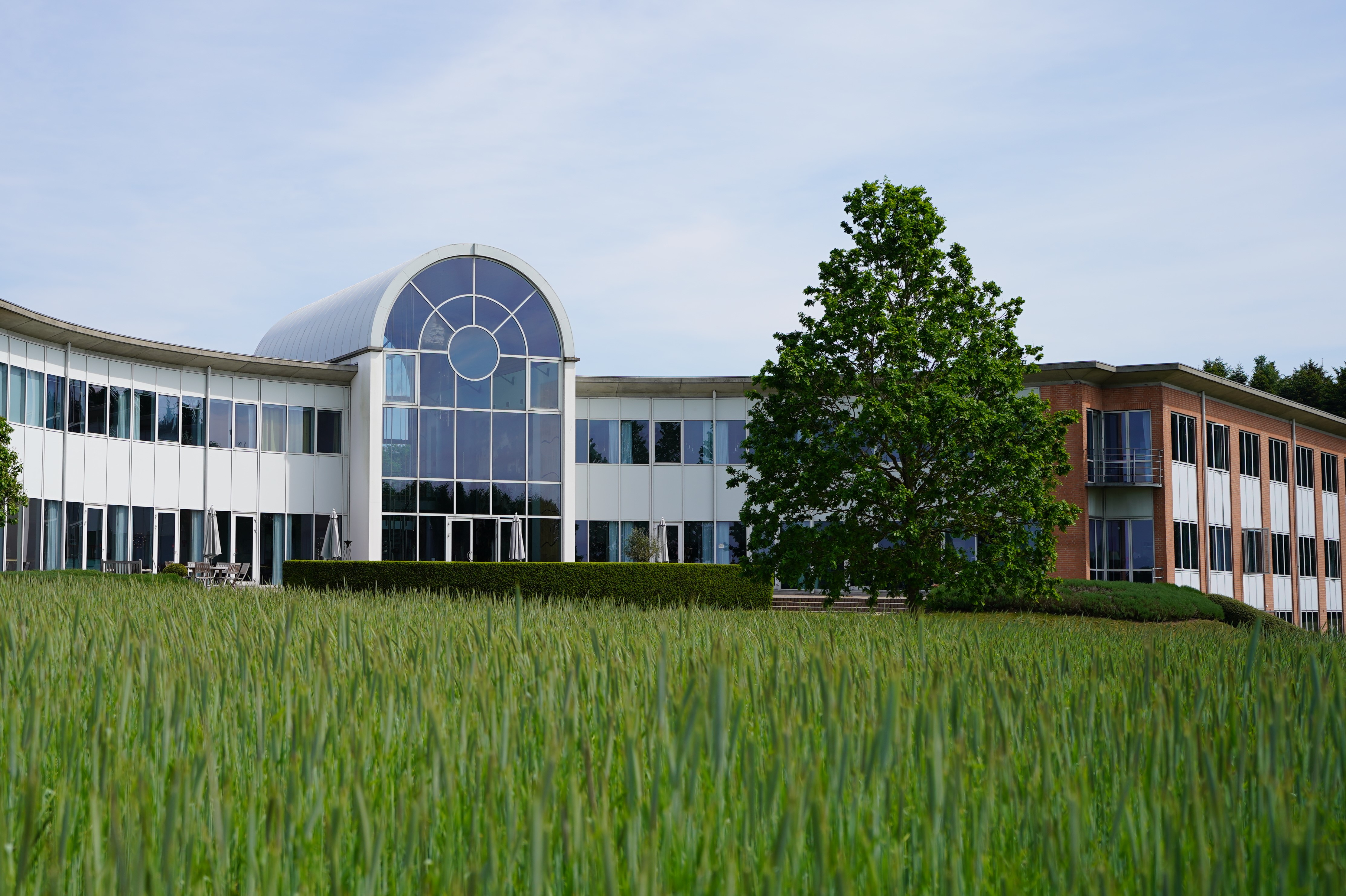 Det store træ, plantet på Pressalits område i 2010, fik virksomheden af Gammel Havredal Skole i Kjellerup i forbindelse med, ansættelsen af to unge drenge som grønne pedeller, som fra skolen.