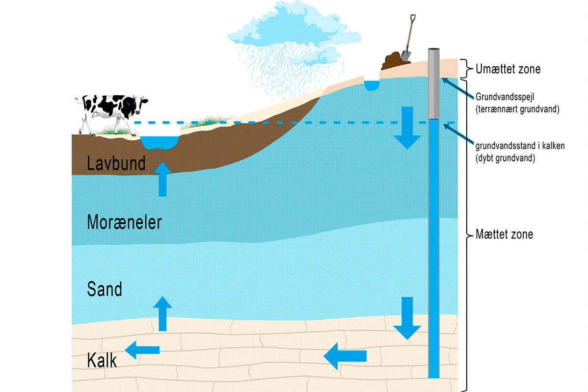 Refsgaard Grafik1 NY 12X8