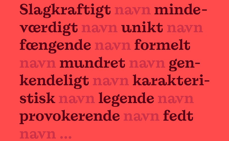 Navngivning guide