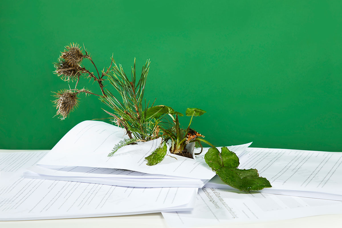 BIO LIVE Biodiversitetslov 1200X800