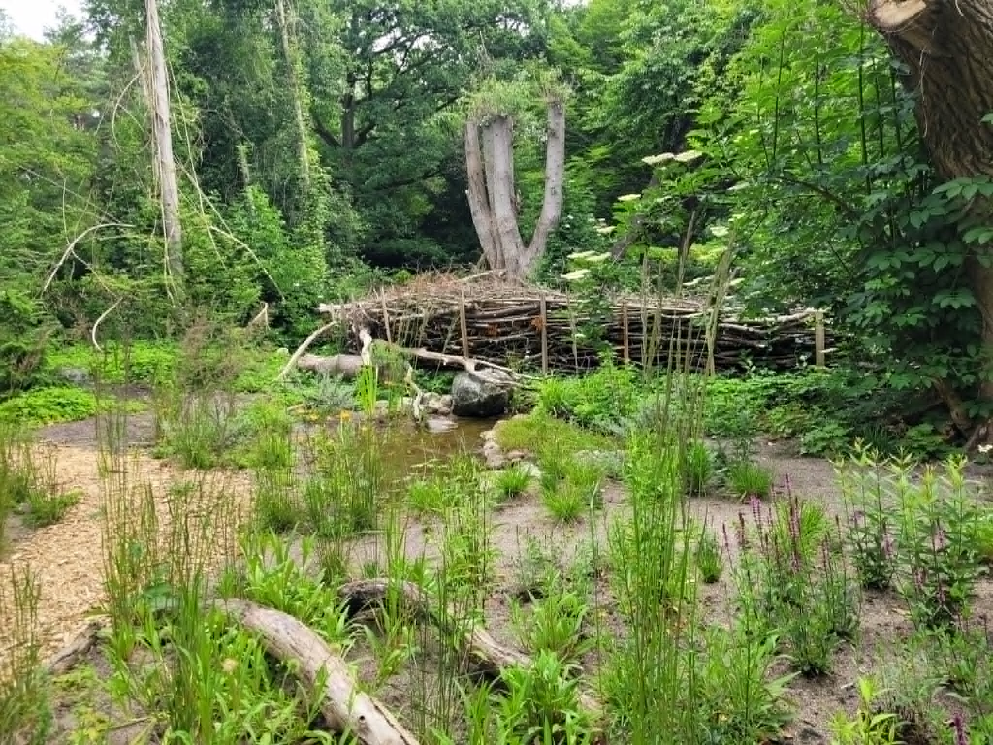 Mariebjerg Kirkegård