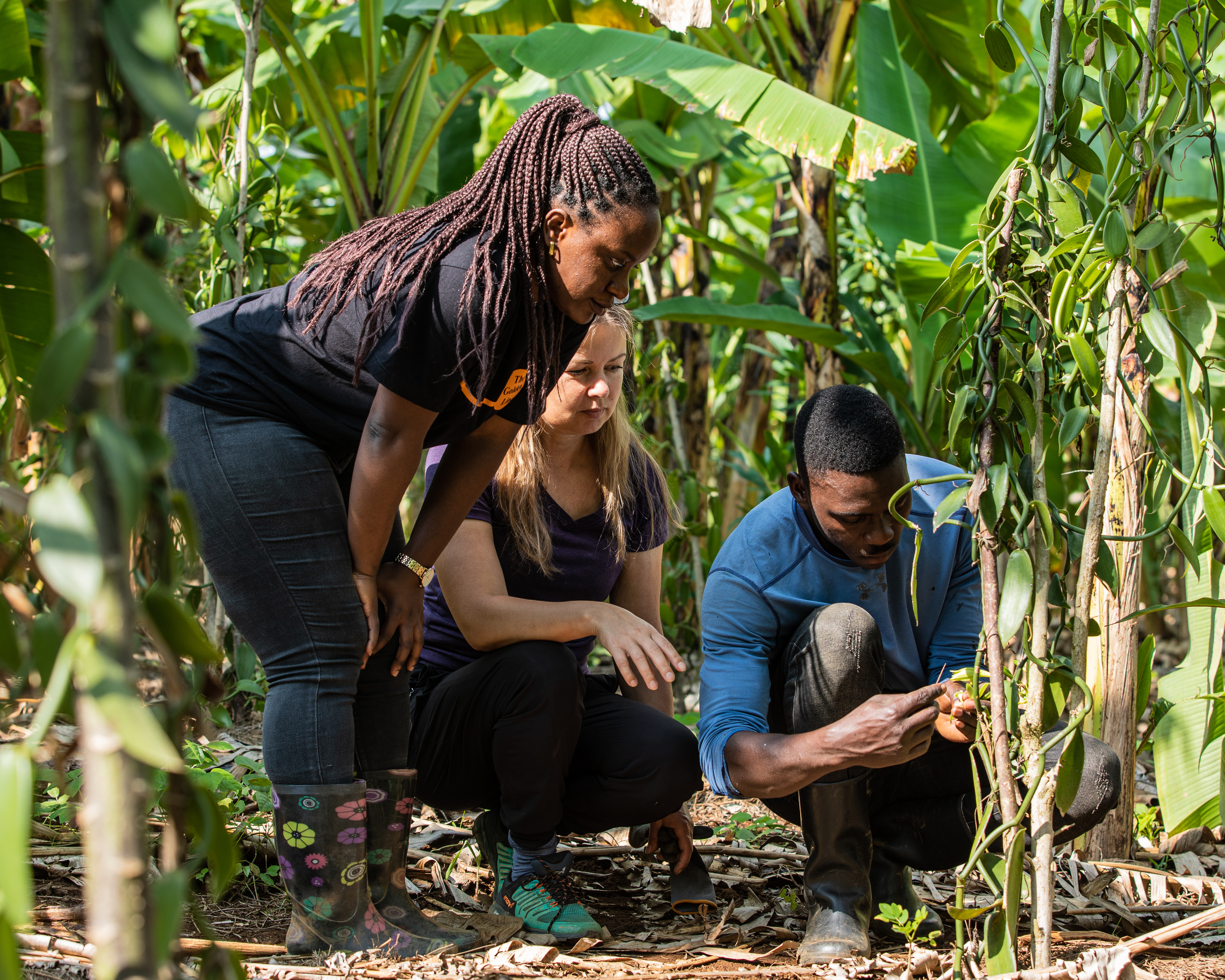 Mette Ravn vaniljefarm