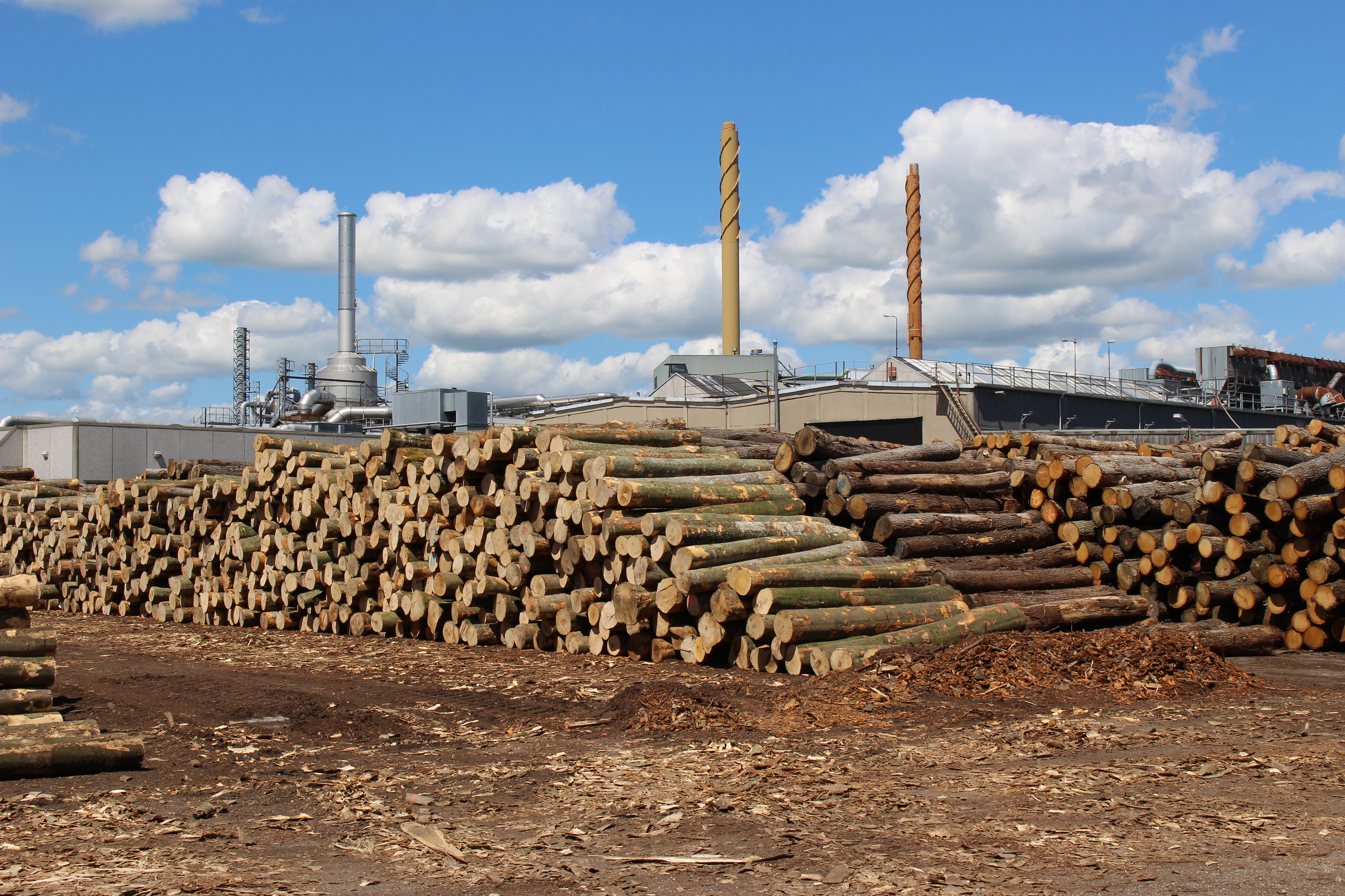 Junckers DFF II 090426