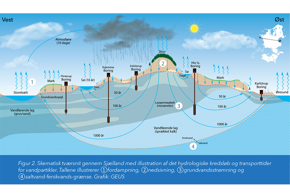 Refsgaard Grafik2 12X8