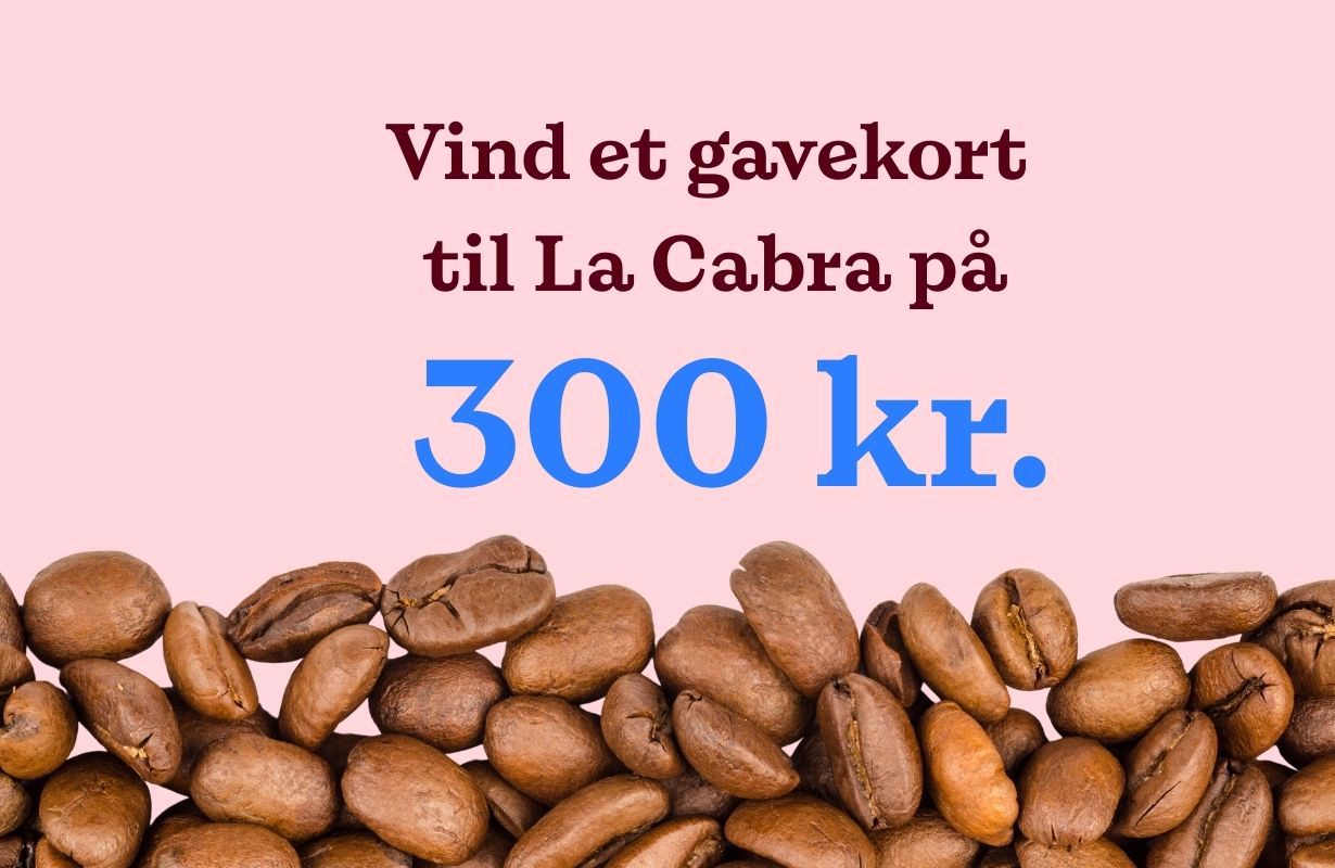 Abkonkurrence Lacabra Web