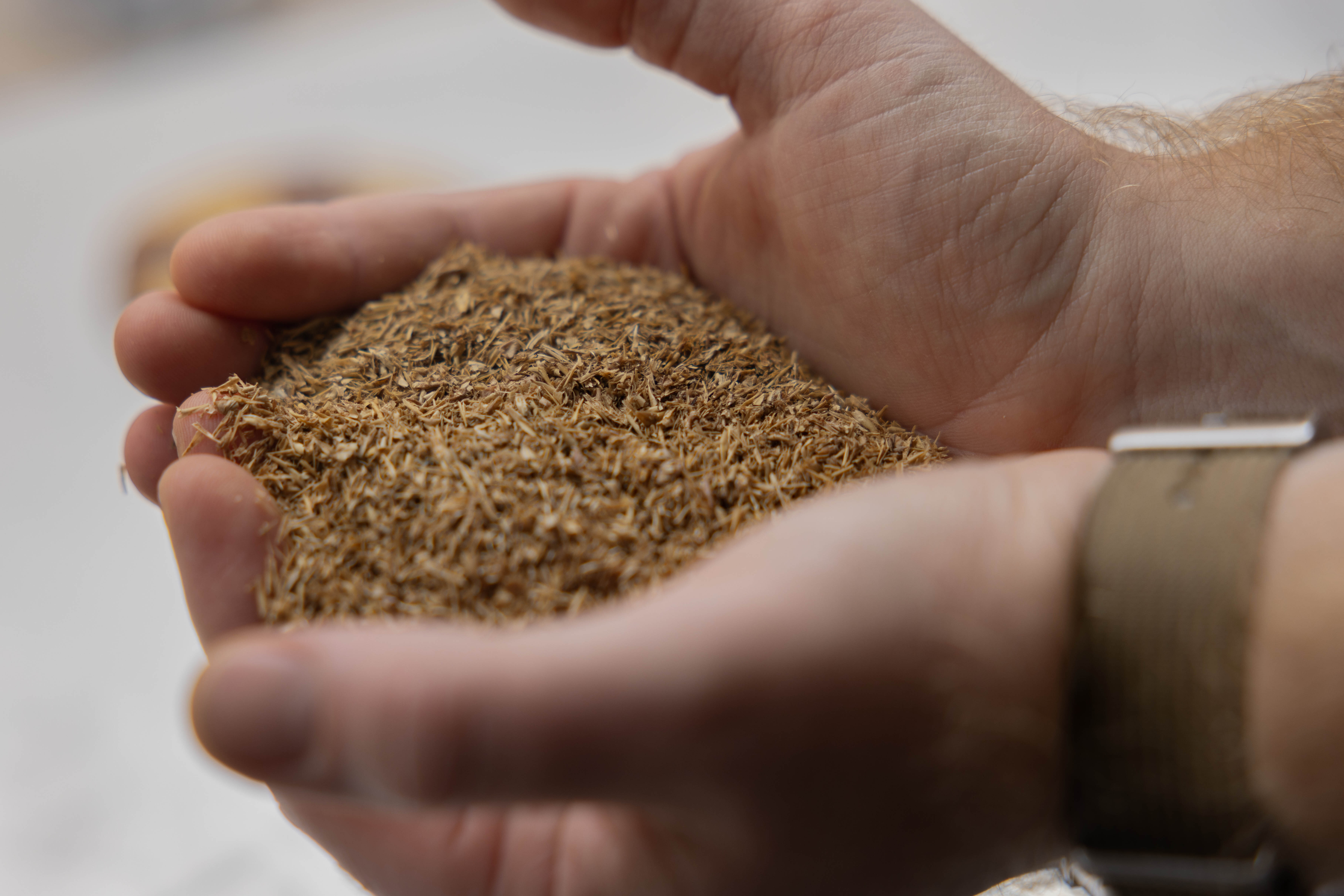 3 Mask Kakao Tørret Scanpix