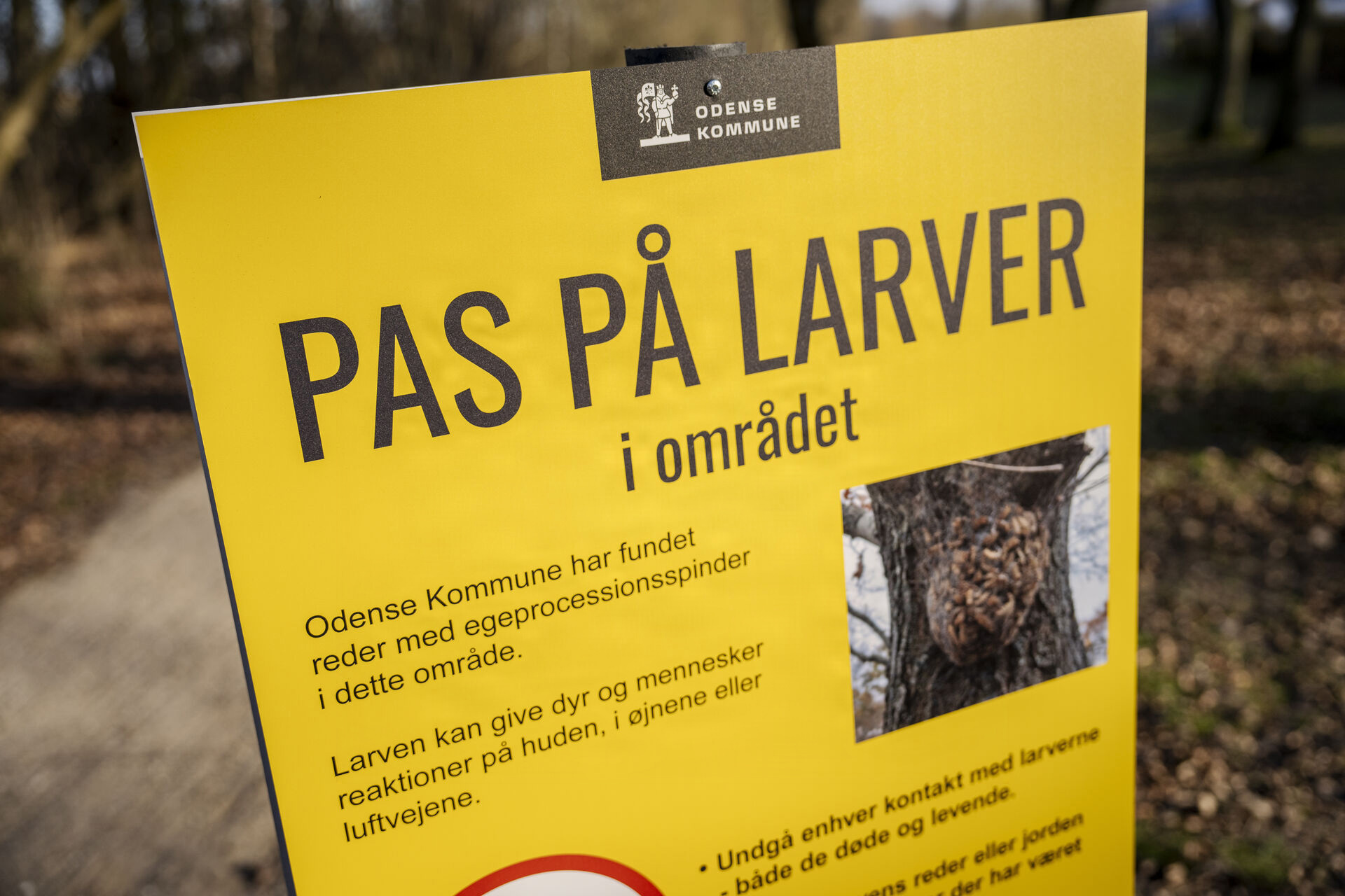 20250220 124449 L 1920X1280web