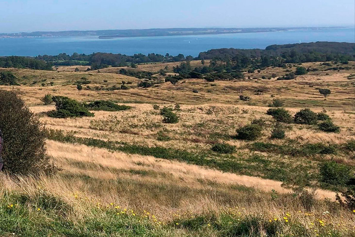 2 Udsigt Kalø 12X8 1750686438732