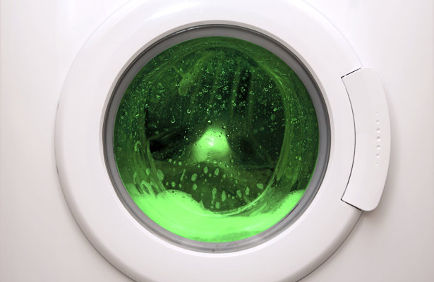 Greenwashing Forside