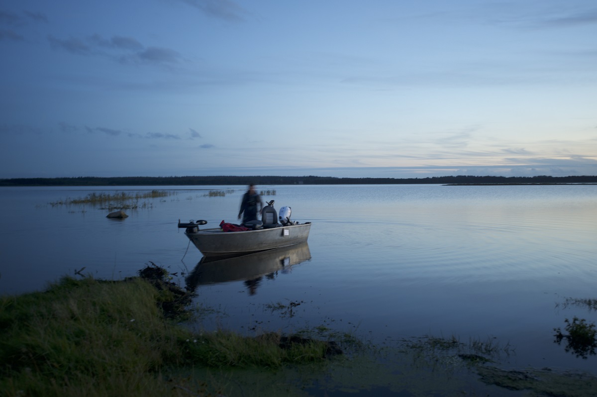 Genopretning af Filsø