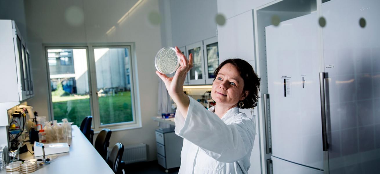 Lektor Lotte Jelsbak