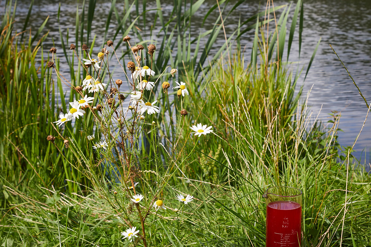 BIO Natur Kemi89 Web Lores