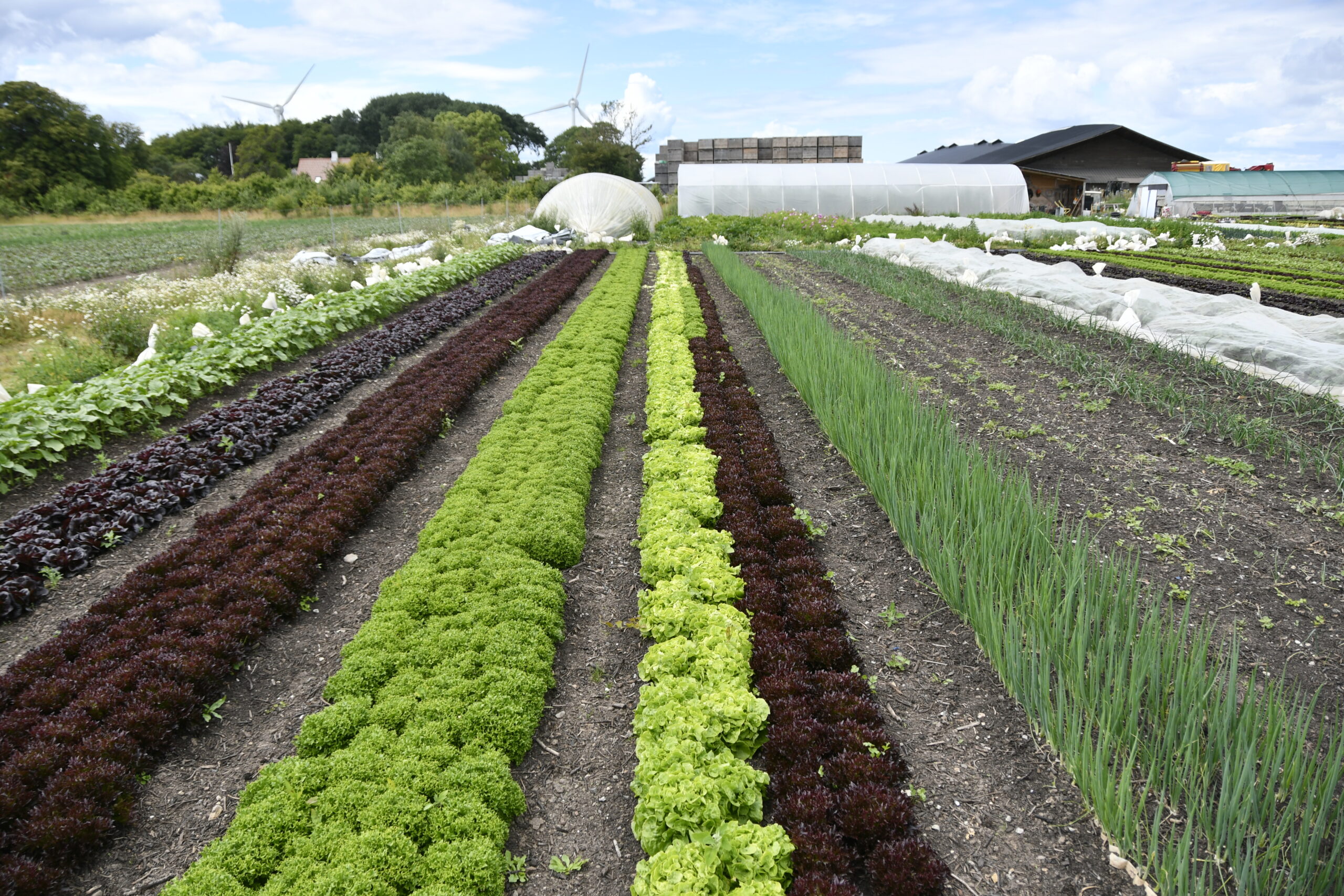 Regenerativt jordbrug dyrkningssystem