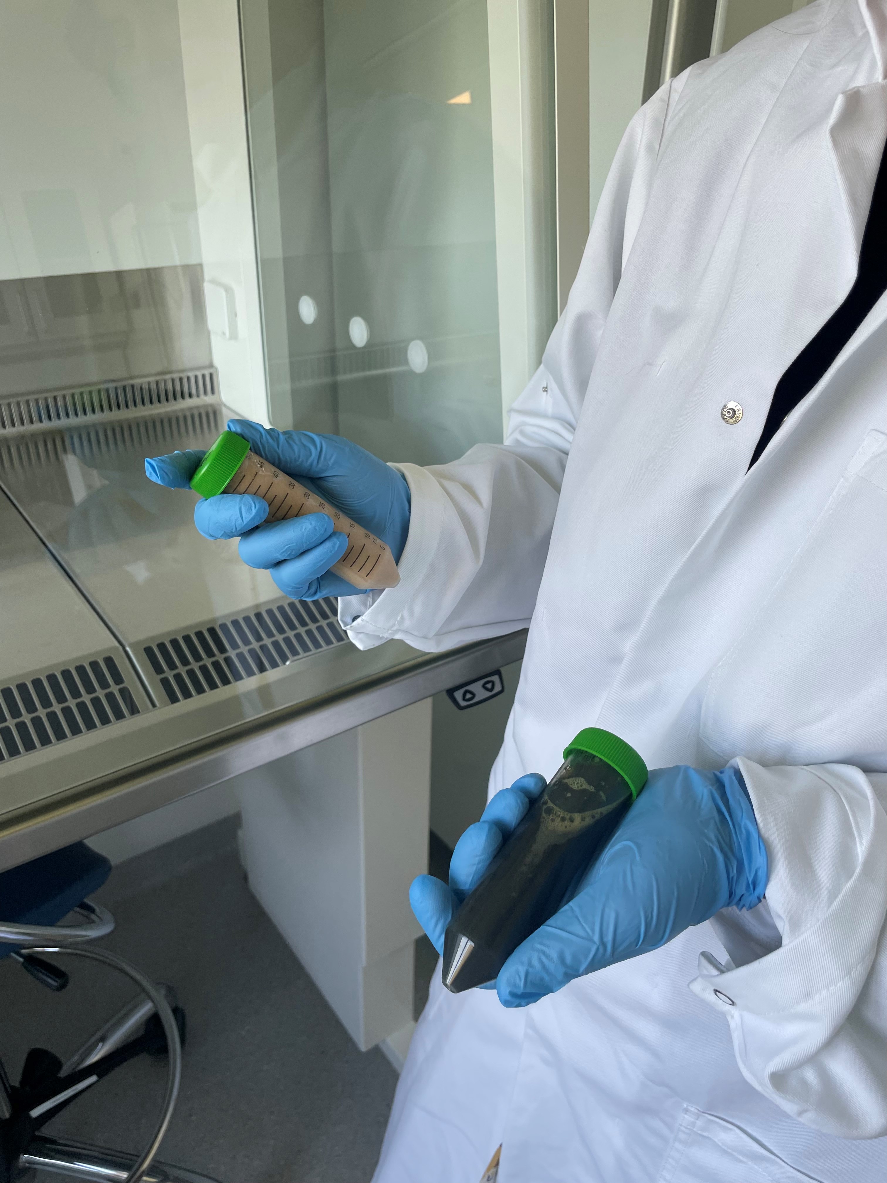 Sidestrømme Protein Frontiers