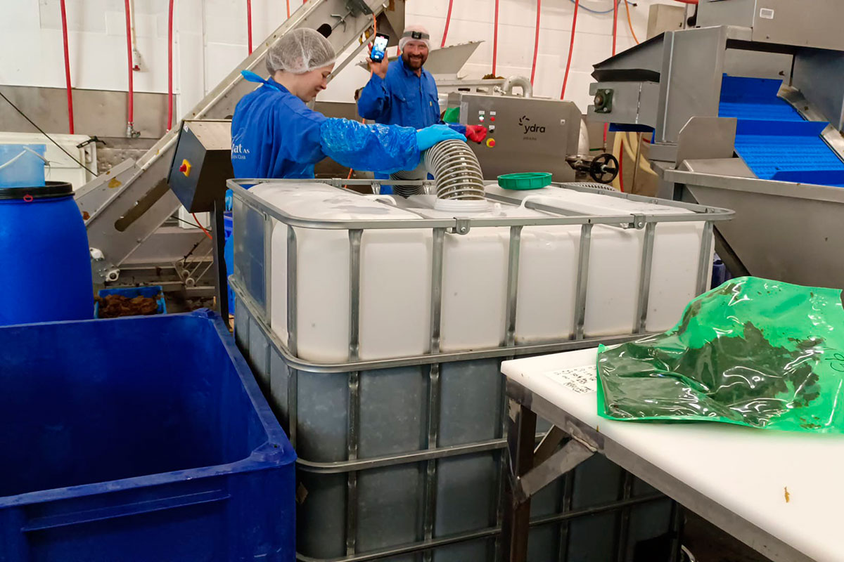 Seapro 3244 Fabrik 12X8