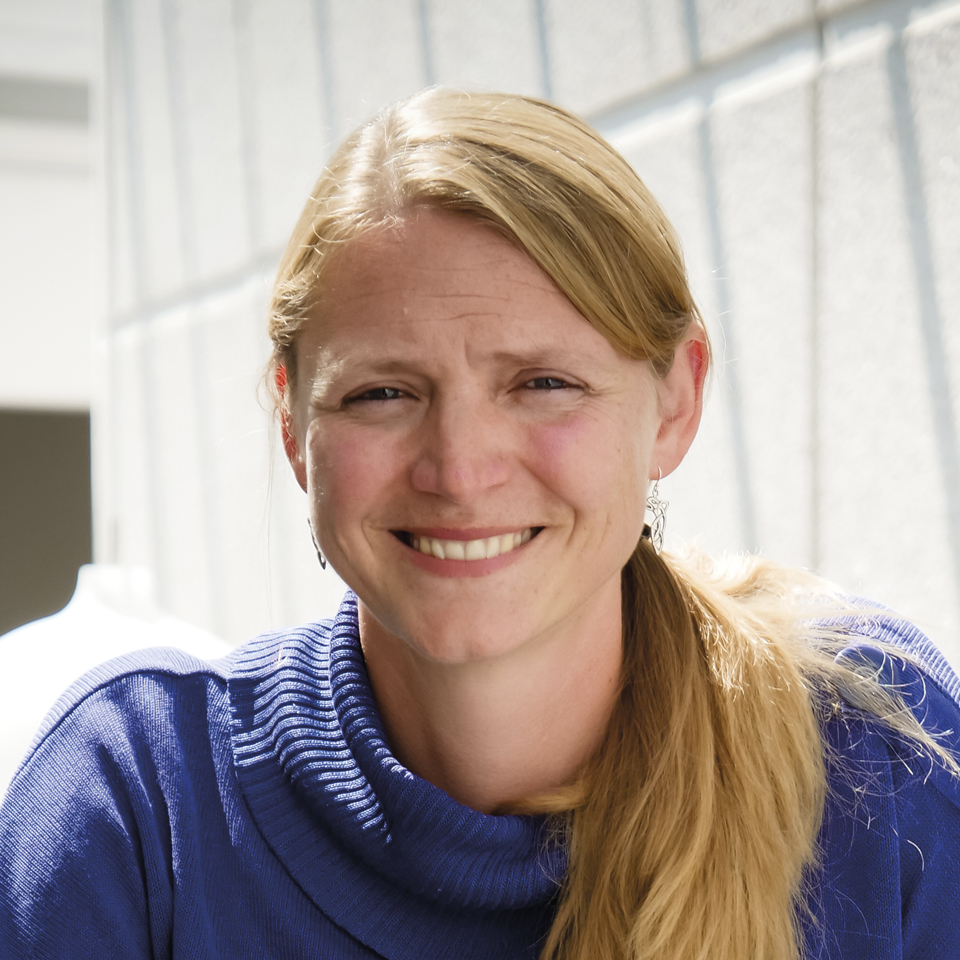 KOM 155 8D Sine Zambach