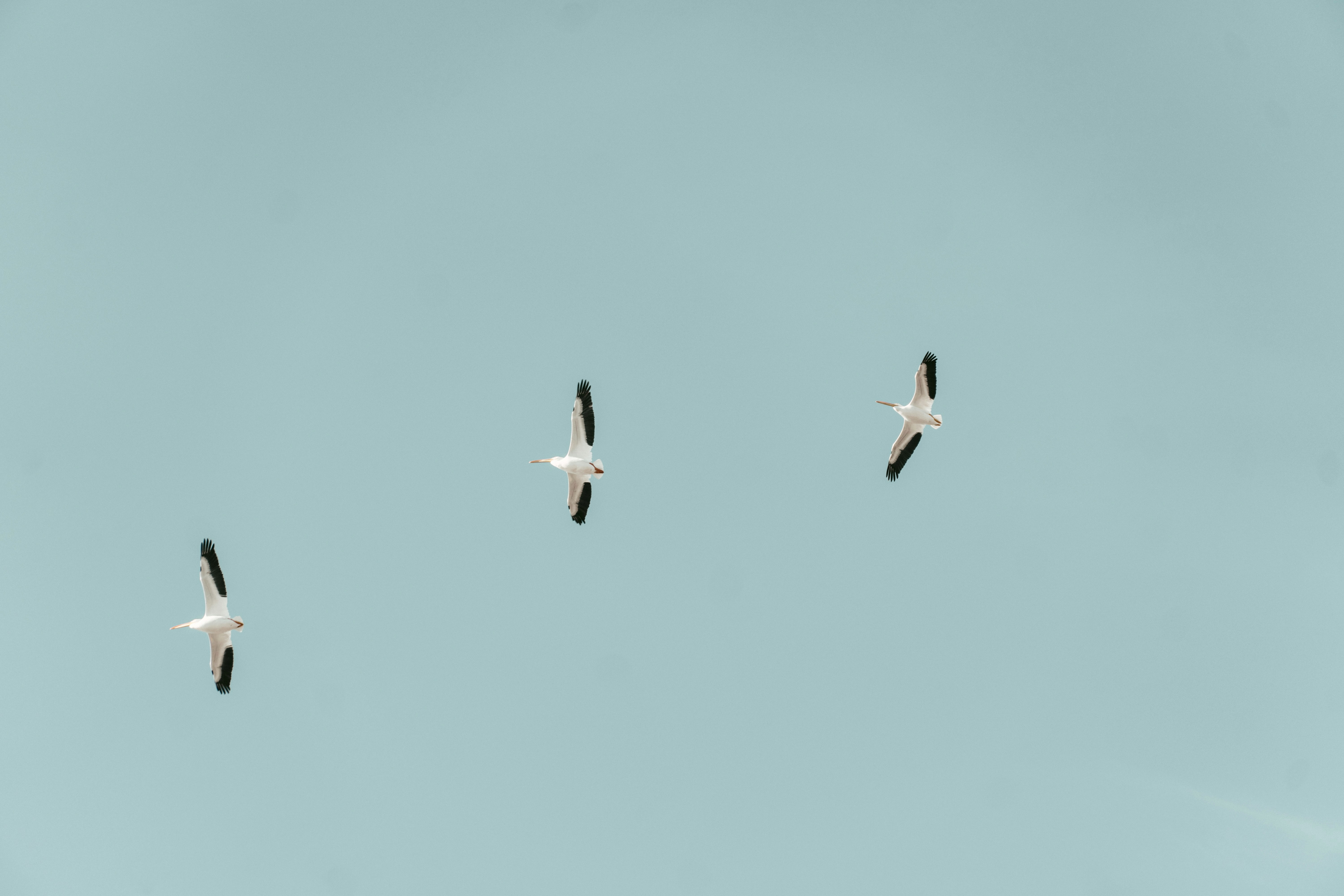 Rod Long L7f7uqicpzi Unsplash