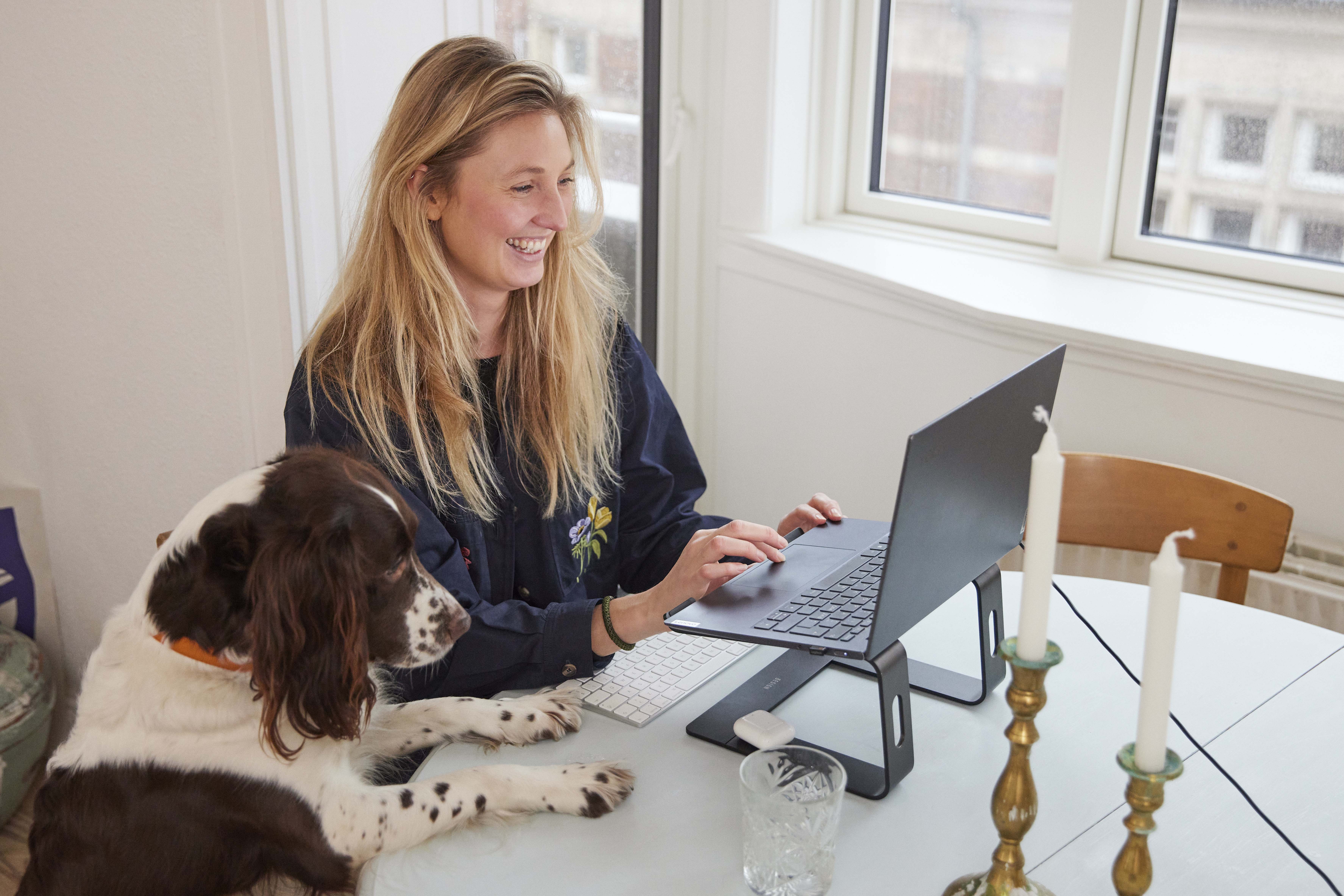 Kontorhund Silje og Alba 2