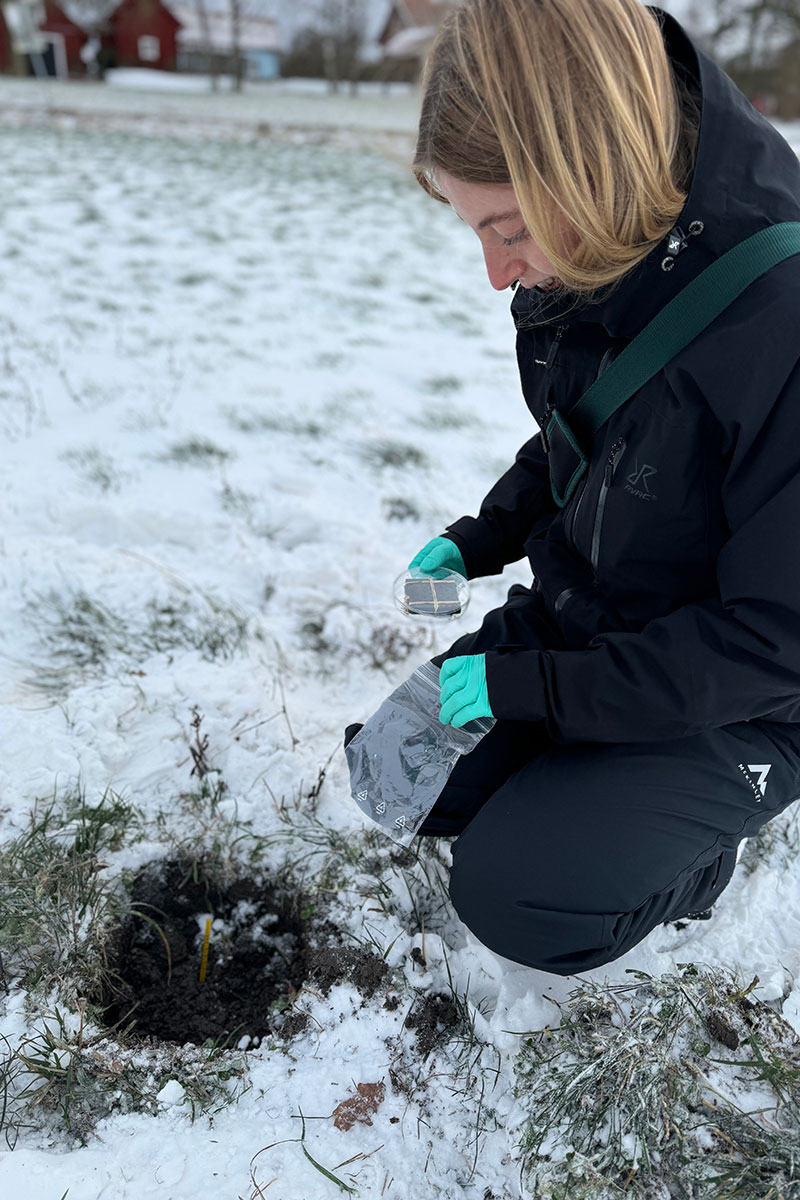 5B Nordic Microbes Microbetrap I Felten 12X8