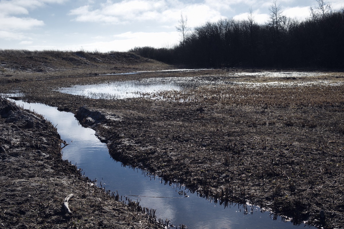 Landbrugsjord under vand
