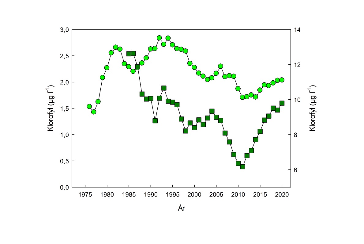 Fig 2 Koncentration af alger i fjorde og indre farvande
