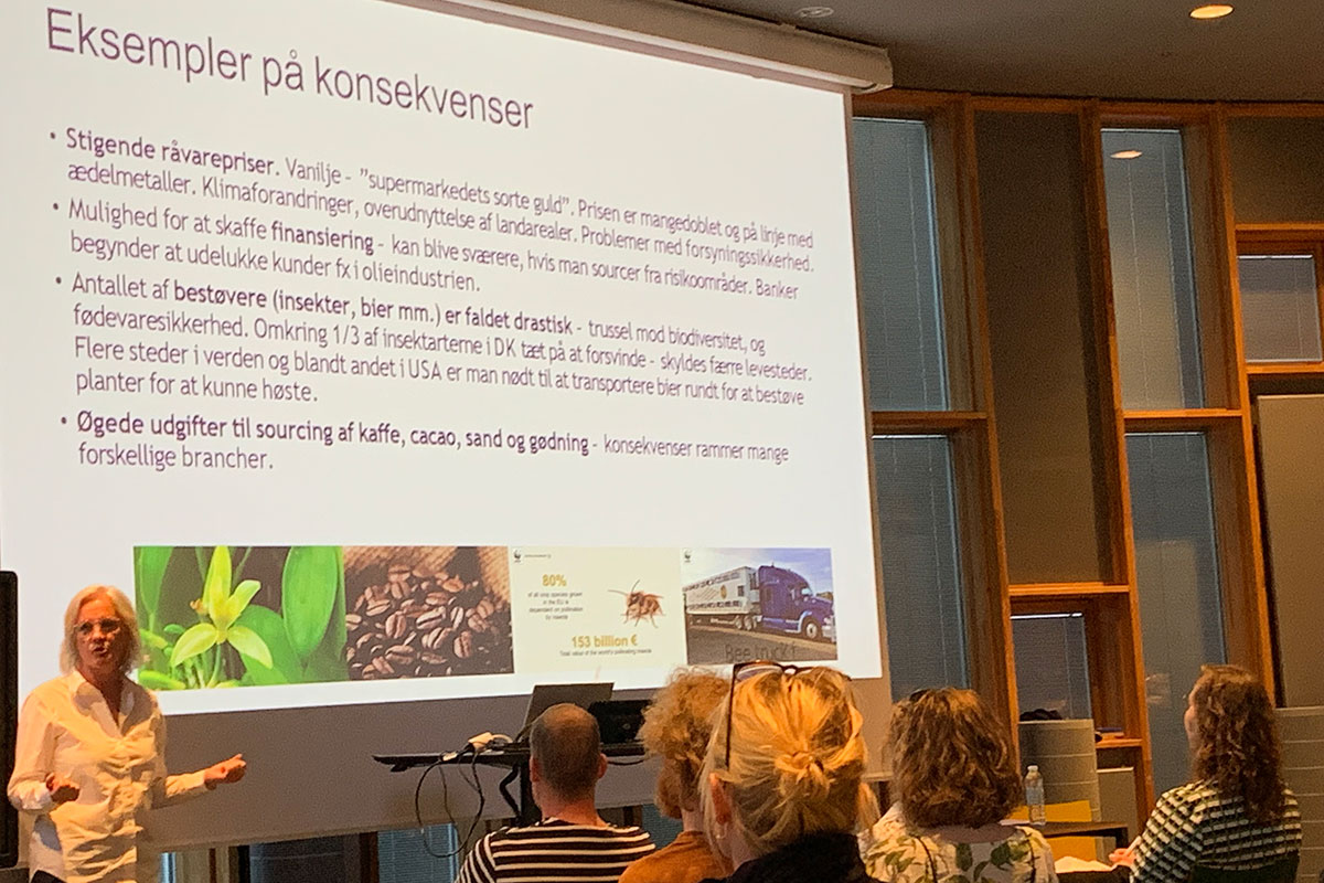 Debat Areal Kitt IMG 2369