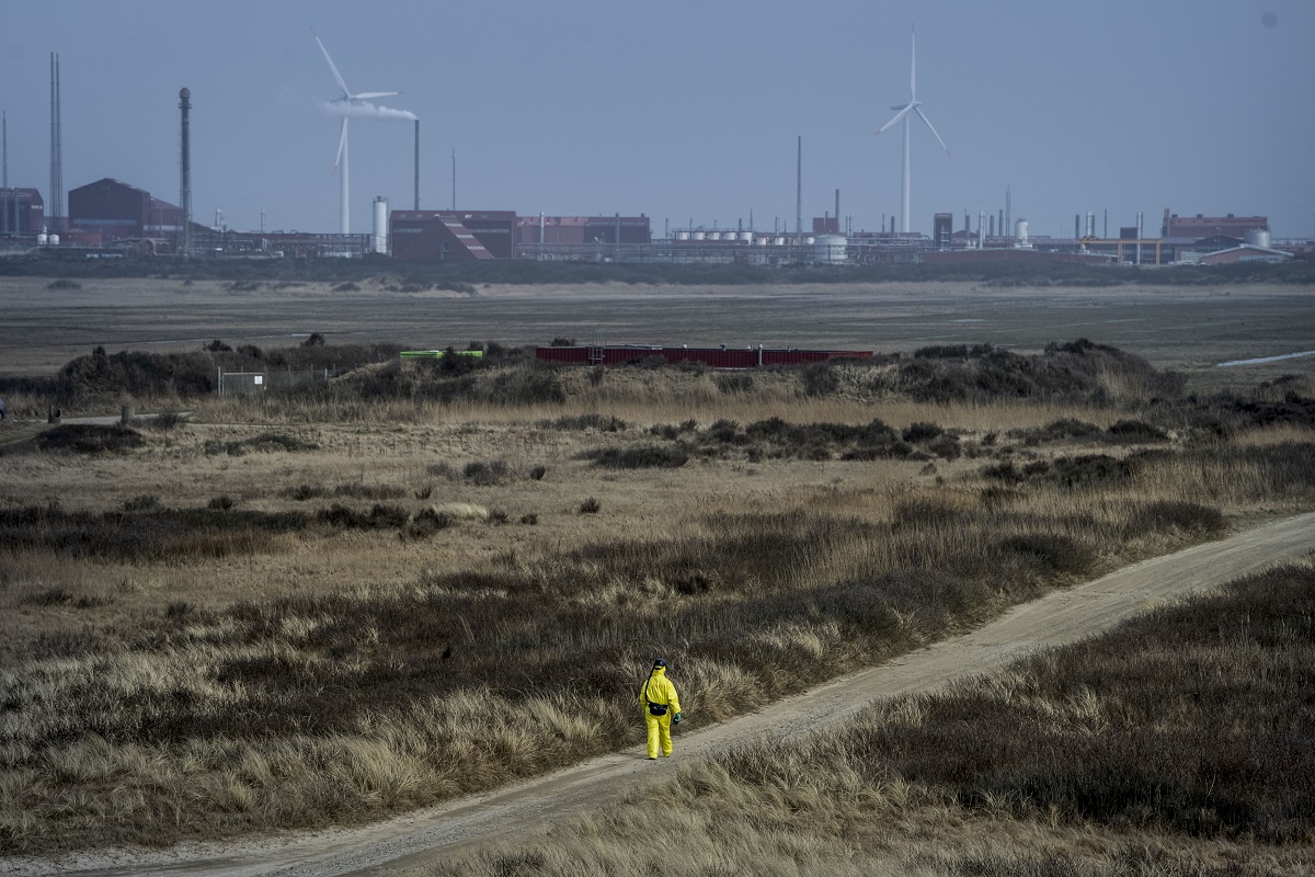 Høfde 42 på Harboøre Tange
