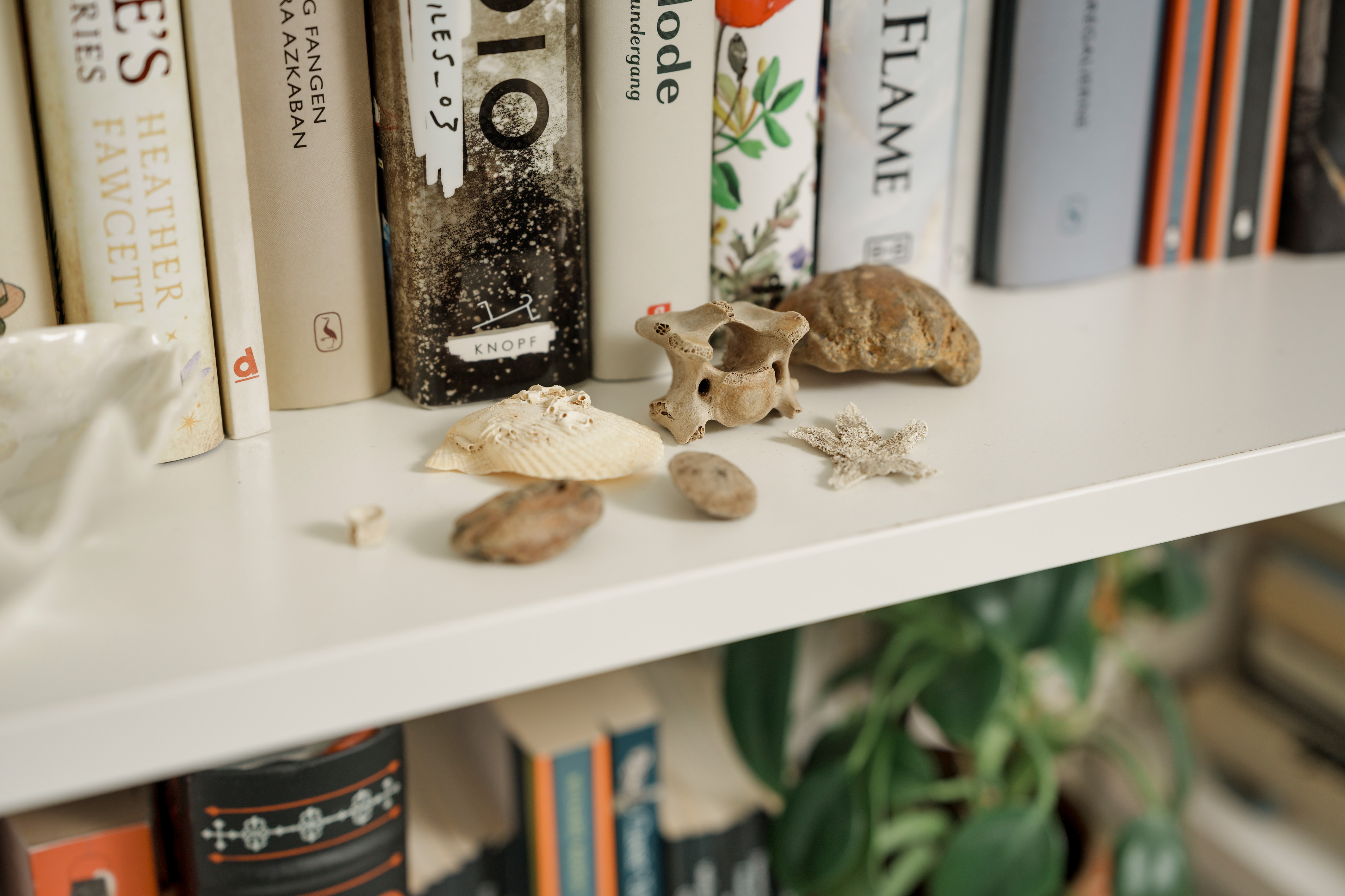 Nanna Svenningsen Dahl bogreol